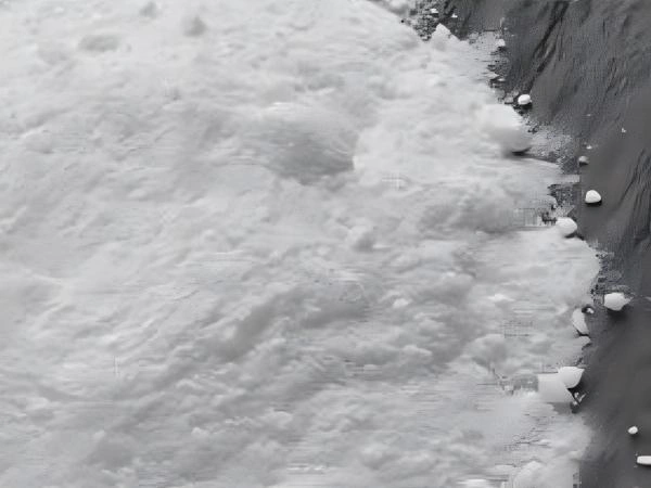 벤젠 황산 나트륨 소금 (SBS)